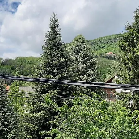 Maison d'hôtes Nagy Vendeghaz 3*