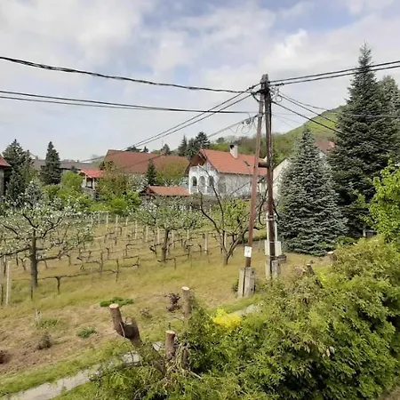 Nagy Vendeghaz Pensionat Badacsonytomaj