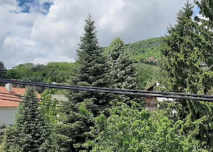 בית הארחה Nagy Vendeghaz 3*