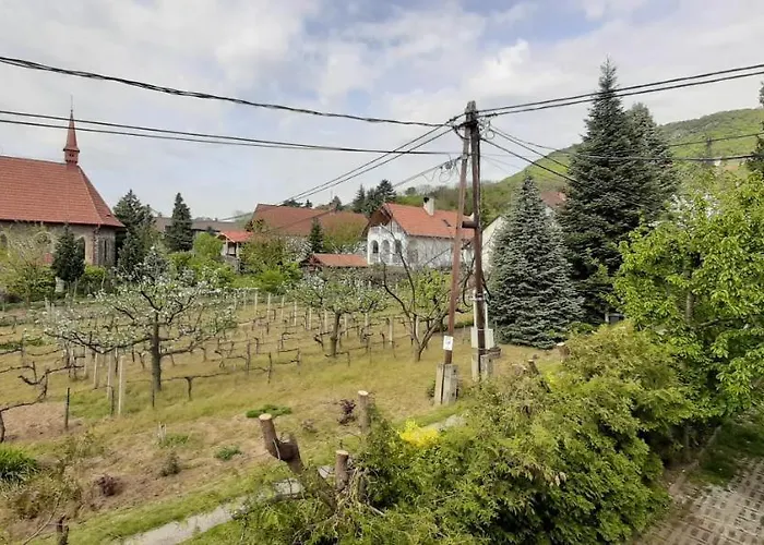 Nagy Vendeghaz בית הארחה בדקסוניטומאי